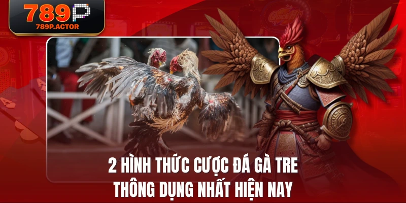 2 hình thức cược đá gà tre thông dụng nhất hiện nay 2 hình thức cược đá gà tre thông dụng nhất hiện nay