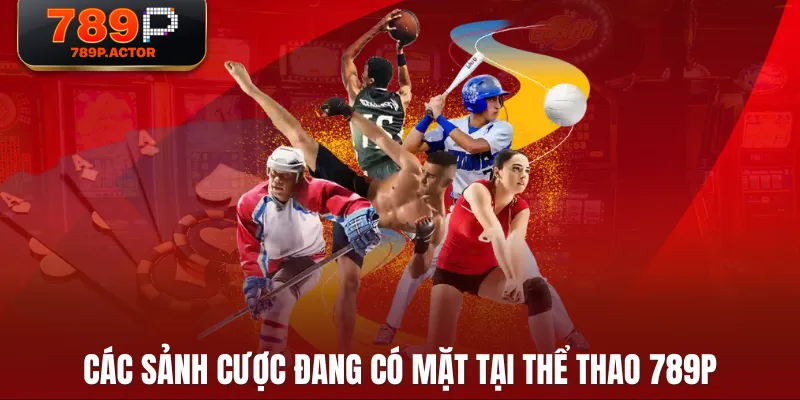 Các sảnh cược đang có mặt tại Thể Thao 789P Các sảnh cược đang có mặt tại Thể Thao 789P