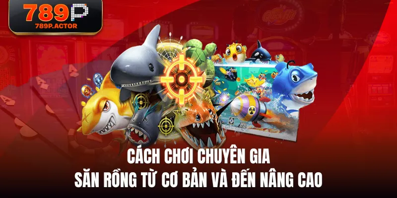 Cách chơi Chuyên Gia Săn Rồng từ cơ bản và đến nâng cao Cách chơi Chuyên Gia Săn Rồng từ cơ bản và đến nâng cao