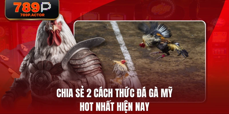 Chia sẻ 2 cách thức đá gà mỹ hot nhất hiện nay Chia sẻ 2 cách thức đá gà mỹ hot nhất hiện nay