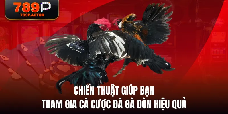 Chiến thuật giúp bạn tham gia cá cược đá gà đòn hiệu quả Chiến thuật giúp bạn tham gia cá cược đá gà đòn hiệu quả