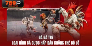 Đá Gà Tre - Loại Hình Cá Cược Hấp Dẫn Không Thể Bỏ Lỡ