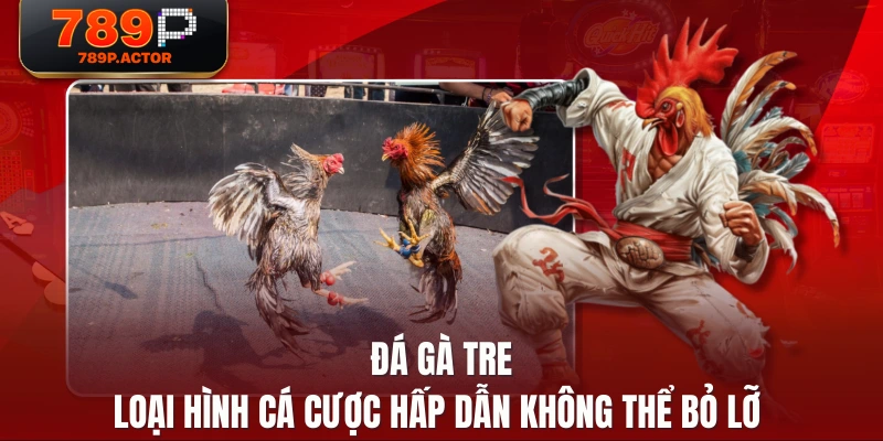 Đá Gà Tre - Loại Hình Cá Cược Hấp Dẫn Không Thể Bỏ Lỡ
