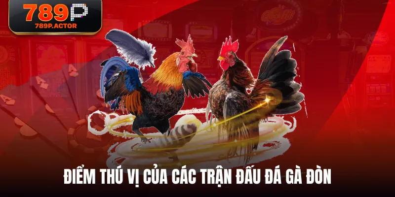 Điểm thú vị của các trận đấu đá gà đòn Điểm thú vị của các trận đấu đá gà đòn