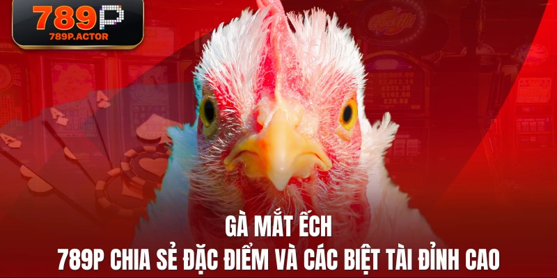 Gà Mắt Ếch - 789P Chia Sẻ Đặc Điểm Và Các Biệt Tài Đỉnh Cao