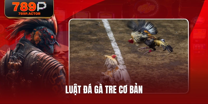 Luật đá gà tre cơ bản Luật đá gà tre cơ bản
