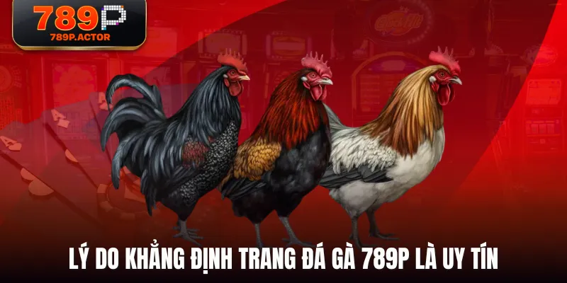 Lý do khẳng định trang đá gà 789P là uy tín Lý do khẳng định trang đá gà 789P là uy tín