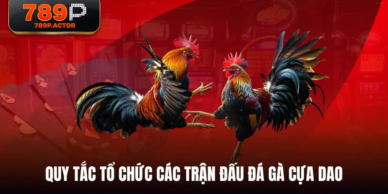 Quy tắc tổ chức các trận đấu đá gà cựa dao Quy tắc tổ chức các trận đấu đá gà cựa dao