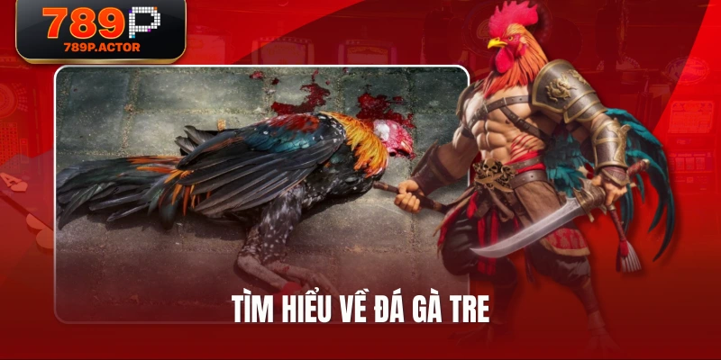 Tìm hiểu về đá gà tre Tìm hiểu về đá gà tre