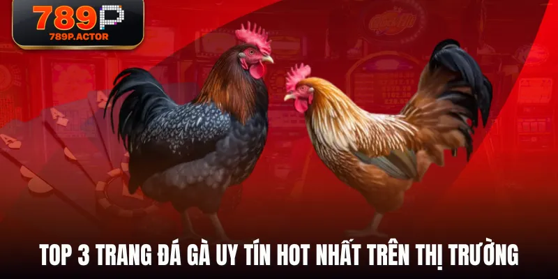Top 3 trang đá gà uy tín hot nhất trên thị trường Top 3 trang đá gà uy tín hot nhất trên thị trường