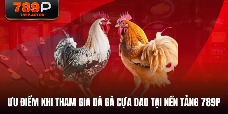 Ưu điểm khi tham gia đá gà cựa dao tại nền tảng 789P Ưu điểm khi tham gia đá gà cựa dao tại nền tảng 789P